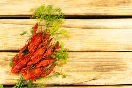 Boiled crayfish lie in a heap on dill, wooden backgroundの写真素材