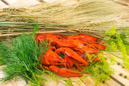 Boiled crayfish lie on a heap on a dill near the spikelets of millet, wooden backgroundの写真素材