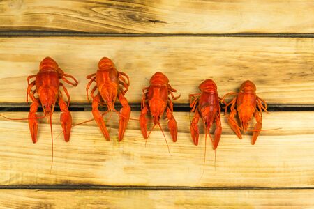 Five boiled crayfish arranged from larger to smaller, wooden backgroundの写真素材