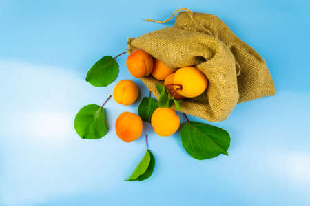 Apricots fall out of the bag on a blue backgroundの写真素材