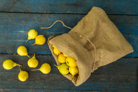 Yellow pears fall out of bags on blue backgroundの写真素材