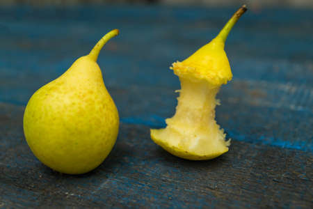 Two pears on a blue background. One of them gnawingの写真素材