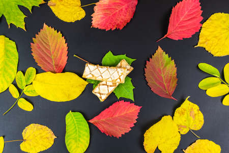 Autumn fall concept. Cookies on autumn leaves, on a black background.の写真素材