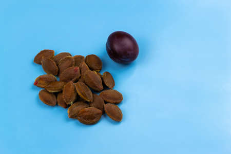 A pile of seeds from a plum and one plum on a blue backgroundの写真素材