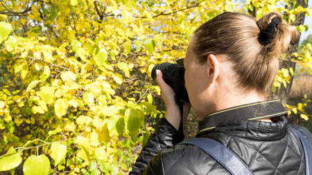 Woman photographing autumn landscape, shooting nature outdoors, hobby concept copy space mockup