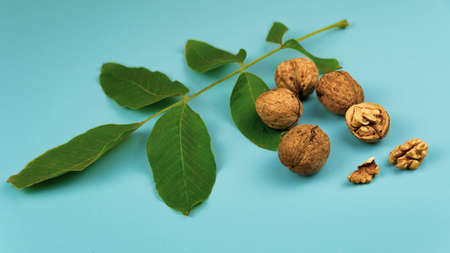 Creative layout made pattern walnuts isolated pink background. Macro concept. Mockup walnut as...