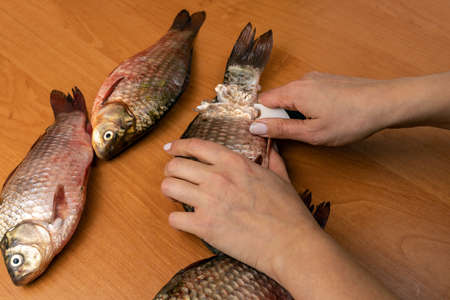 Top view woman cleans fish with knife on table