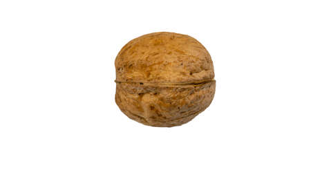 Walnut close up isolated on white background
