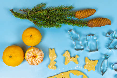 Cookie cutters on thinly rolled dough, near spruce branches and tangerines on a blue background. Close-upの写真素材