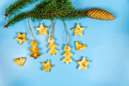 Christmas cookies hanging on a fir branch on a blue background. Close-up