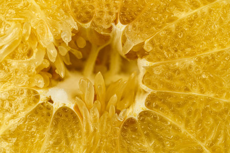 Close-up of pomelo slices. Citrus yellow fruit. Textured background from pomelo.の写真素材
