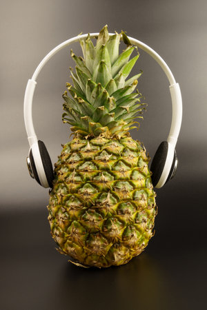 Pineapple with headphones, on a gray background with copy space. Tropical perennialの写真素材