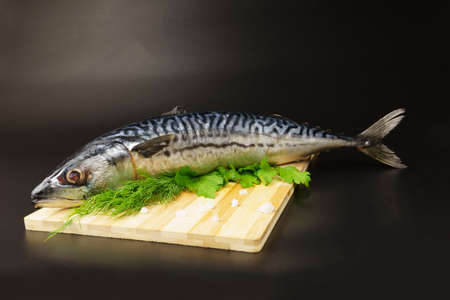 Raw mackerel garnished with parsley on a cutting board on a black backgroundの写真素材