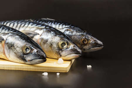 Close-up of mackerel on a cutting board, against a black background with copy space.の写真素材