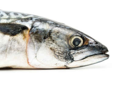 Mackerel head isolated on white background close upの写真素材