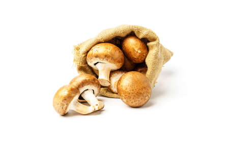 Champignons royal falling out of a bag on a white backgroundの写真素材