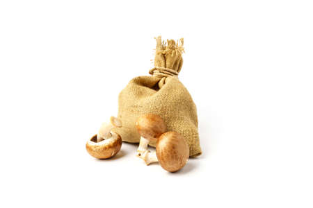 Royal mushrooms in a sack bag isolated on white background