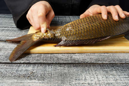 cleaning the scales of freshly caught carp, on a wooden cutting board. food preparation