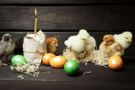 little chicks Easter cake and colored eggs on a dark wooden background. Easter card, bannerの写真素材