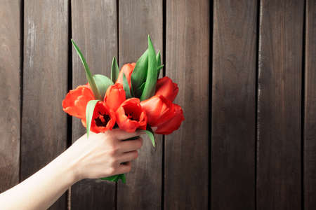 bouquet of red tulips in hand on a dark wooden background, with copy space. banner, gift card