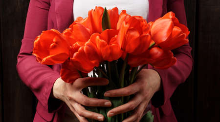 bouquet of red tulips in female hands, on a dark wooden background