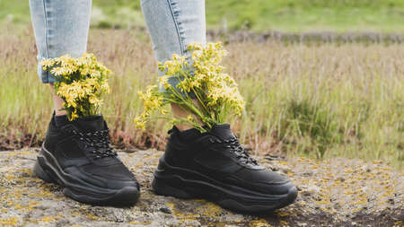 wildflowers in sneakers. on the woman's feet, black sneakers are filled with yellow wildflowers, on...