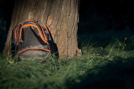a school backpack lies under a tree. school concept. bannerの写真素材