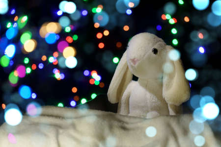 Christmas background. plush hare in the snow on a background of blurry lights.の写真素材