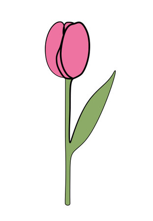 Continuous one line drawing of a tulip.のイラスト素材