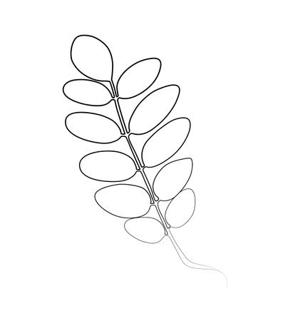 continuous drawing of a branch with leaves in one line.のイラスト素材