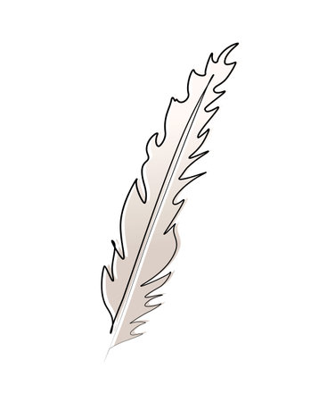 Continuous drawing of a bird feather in one line.のイラスト素材