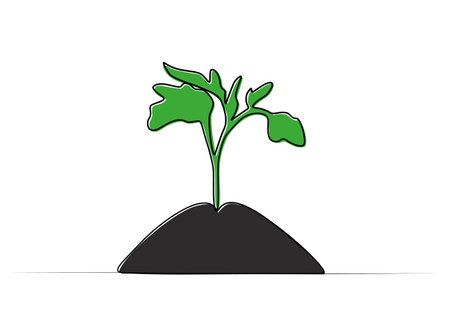 continuous drawing of a tomato sprout in the ground.のイラスト素材
