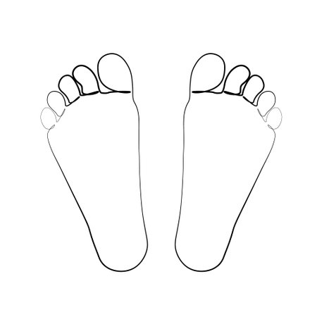 continuous drawing of legs with one lineのイラスト素材