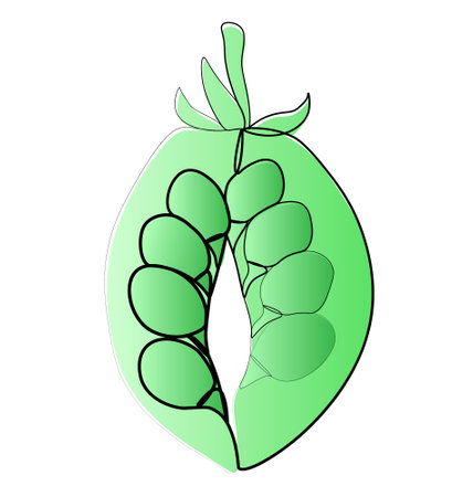 continuous one line drawing of peas vector illustrationのイラスト素材