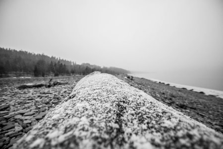 fog and sea, black and whiteの写真素材