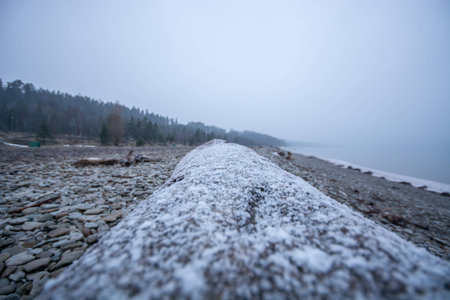 sea, winterの写真素材