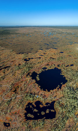 Aerial view of Beautiful lakes in swamp land. Bogs. Panoramaの写真素材