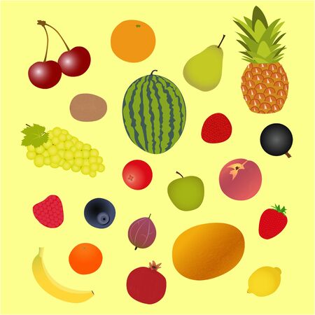 fruits and berries, assortment, set, vector illustrationのイラスト素材