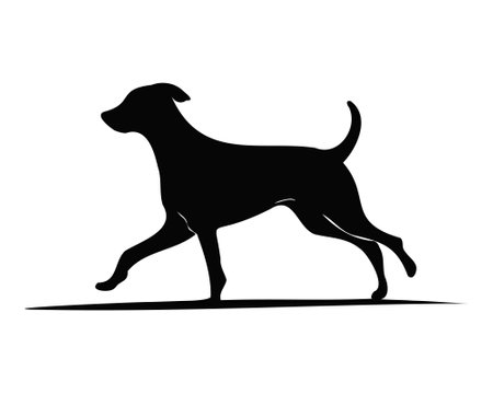 silhouette of a dog, walking dog, black dog, pet dog walkのイラスト素材