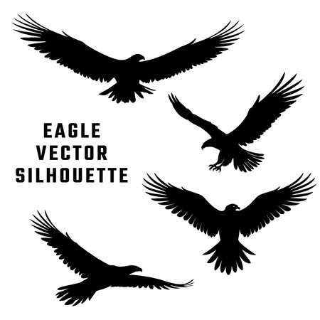 Eagle Poses Silhouette. birds flying, sitting. bird of prey illustration.のイラスト素材