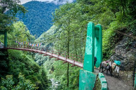 The first bridge from Yuksom to Sachen over Pha Khola. we came across this bridge on the first day of beautiful Goechala Trek.の写真素材