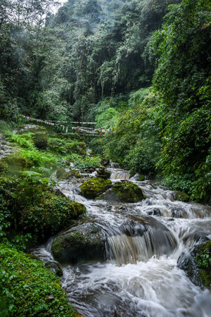 A small waterfall near Ghandruk of nepal cascading through mountainsの写真素材
