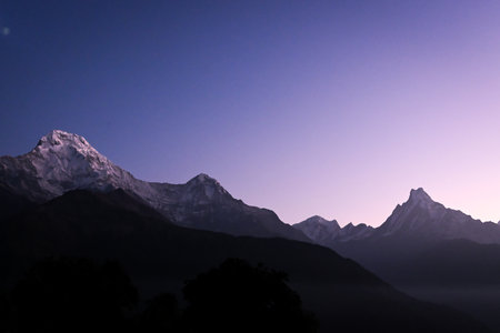 Annapurna alongside Mount Fishtail glowing in the first light of Sun viewed from Tadapani, Nepalの写真素材