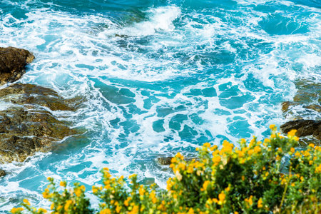 beautiful seascape with sea waves and yellow flowers in the foregroundの写真素材