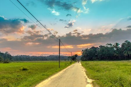 photograph of a street in a Village, Galle.の写真素材