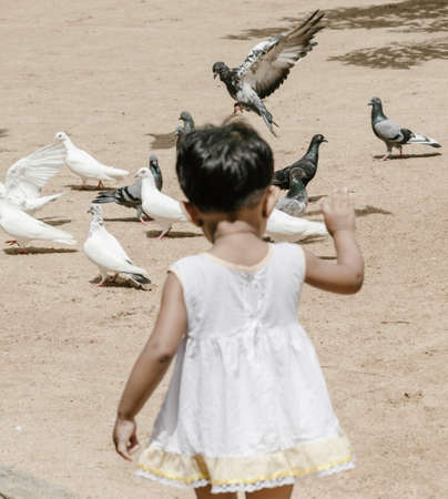 small kid playing with pigeonsの写真素材