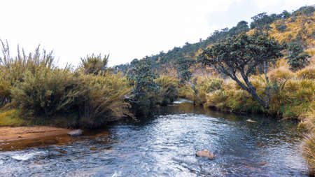 cold misty hortan plains lake landscape photoの写真素材