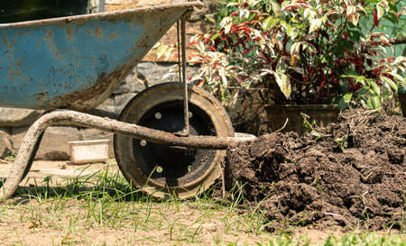 Wheelbarrow in the garden, in the middle of the renovation process.の写真素材