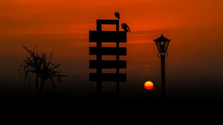 Atmospheric fog and the Rising sun early in the morning. Dramatic orange cloudscape. Signboard and street lamp post in a newly created park in Galle town as a project of Galle Municipal Council.の写真素材