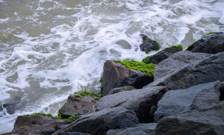 Ocean waves crashing onto the rocks, green algae growing on the rocks.の写真素材